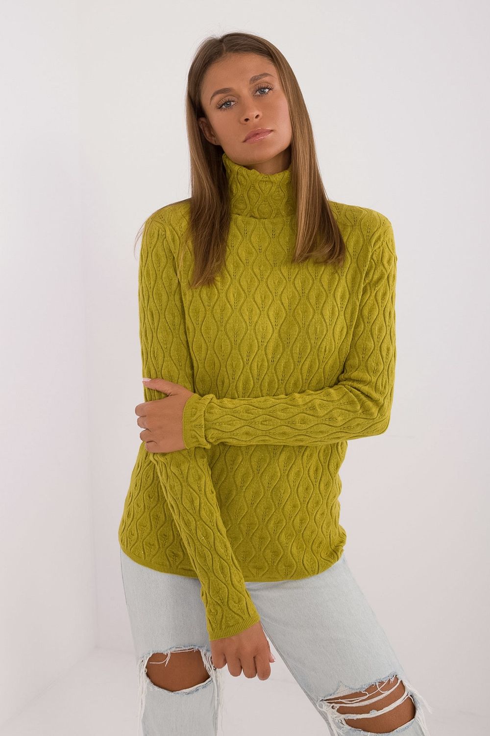 Turtleneck model 208279 AT