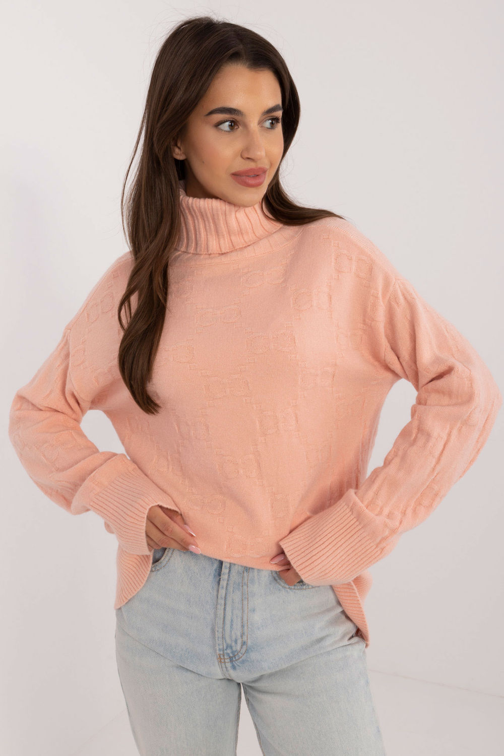 Turtleneck model 208280 AT